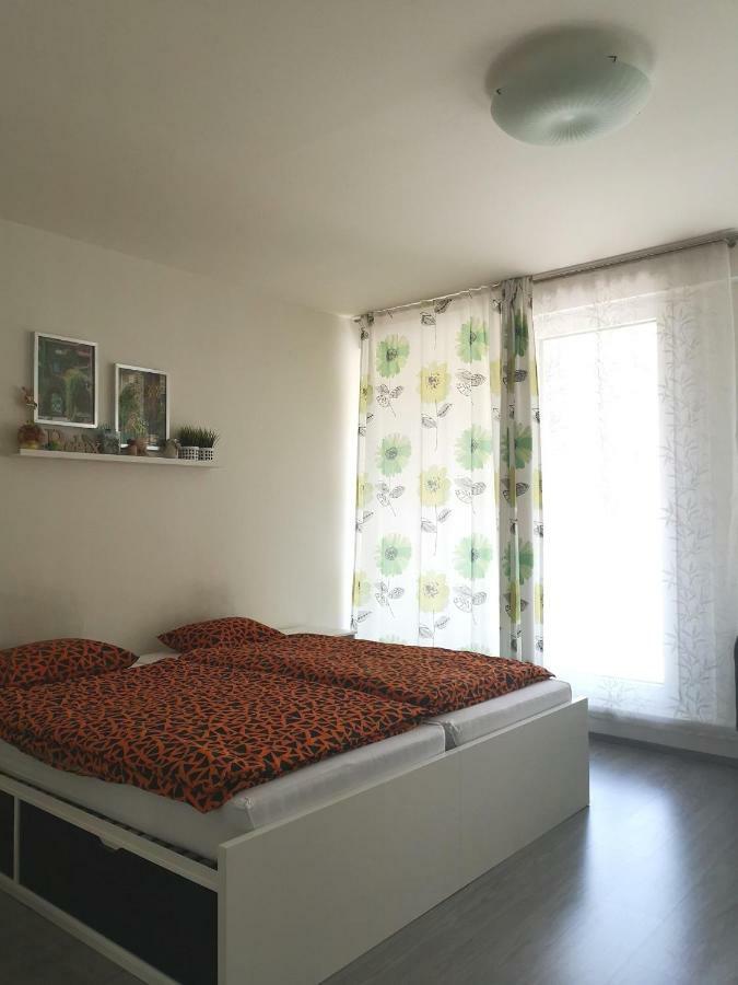 And Refreshing Flat In Praha